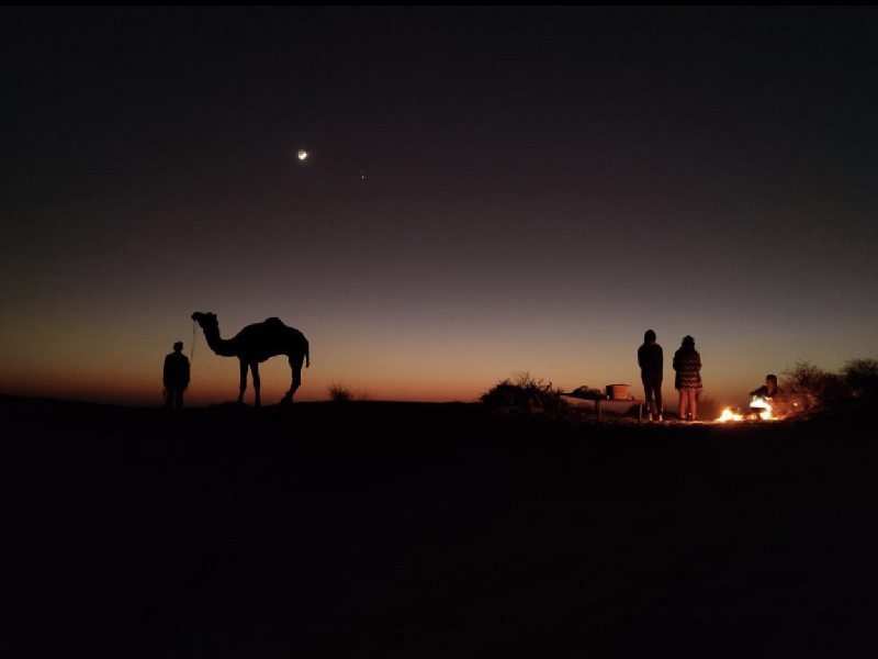 Camel Safari Jaisalmer