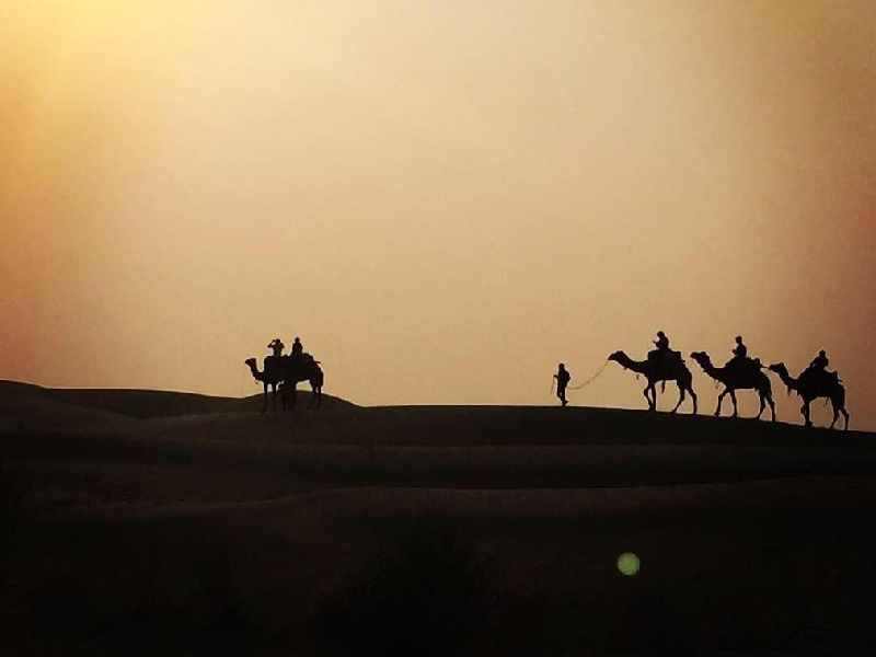 Overnight Camel Safari Jaisalmer