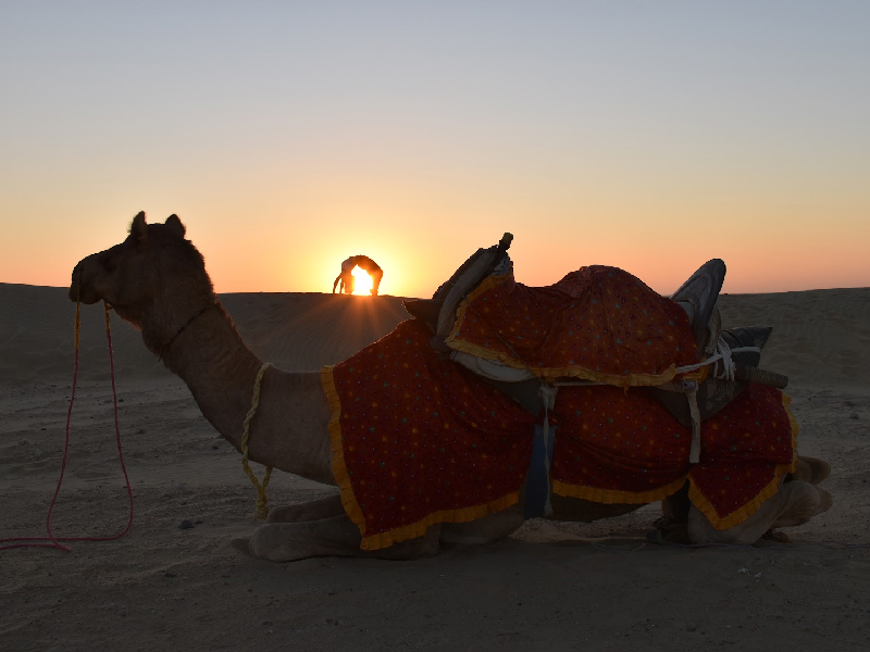 People enjoying Camel Safari Jaisalmer