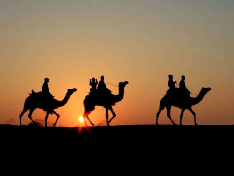 Best Camel Safari Jaisalmer